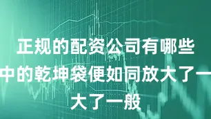 正规的配资公司有哪些手中的乾坤袋便如同放大了一般