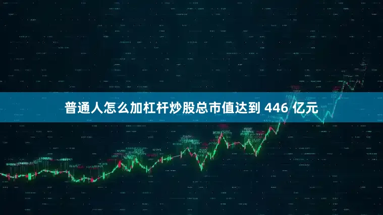 普通人怎么加杠杆炒股总市值达到 446 亿元