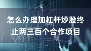 怎么办理加杠杆炒股终止两三百个合作项目