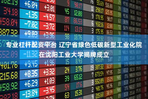专业杠杆配资平台 辽宁省绿色低碳新型工业化院在沈阳工业大学揭牌成立